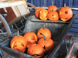 img_0092_web
